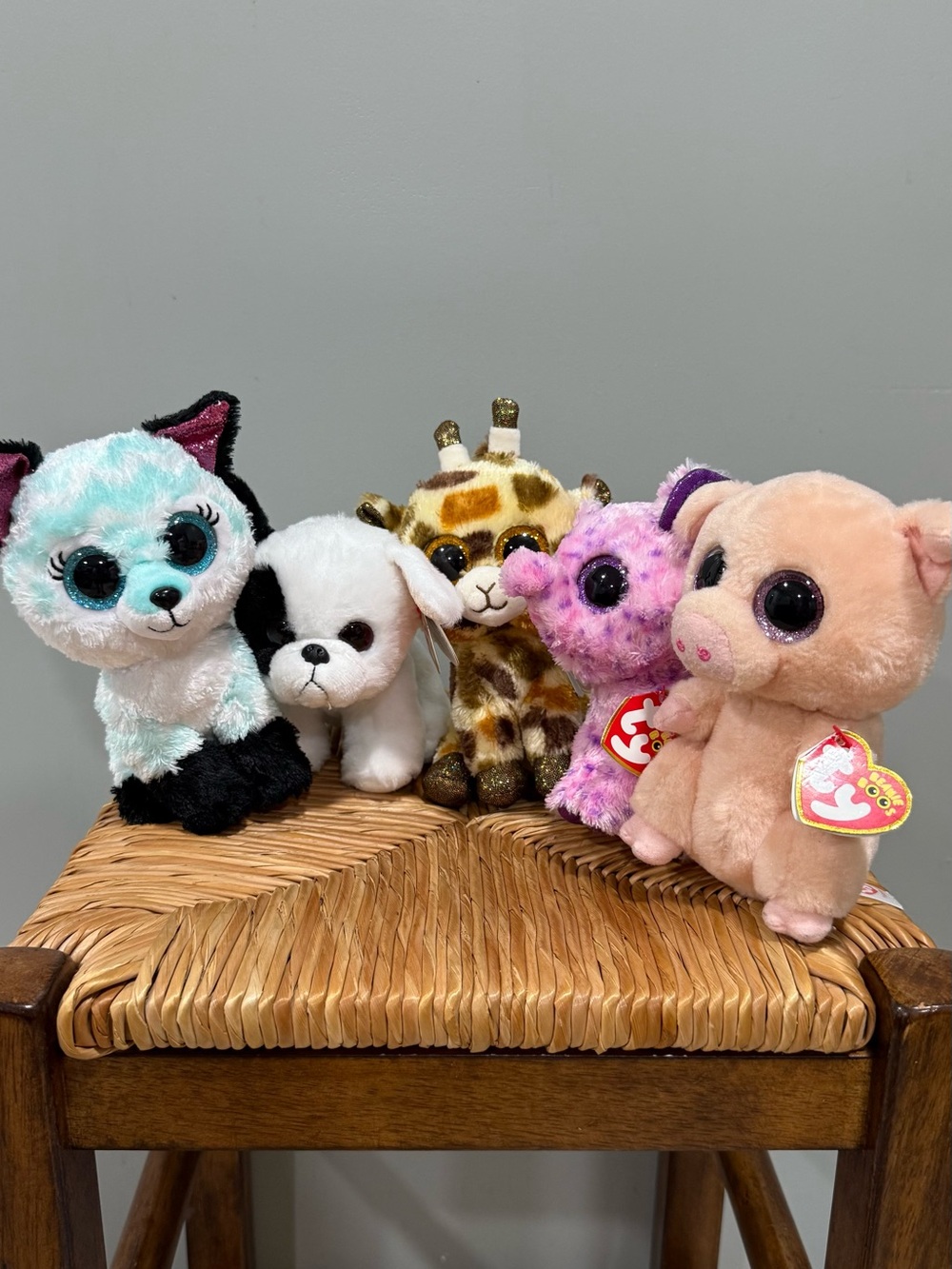 Ty Plush Small Pet Set - Teal, White, Black, Brown, Gold, Pink, Purple